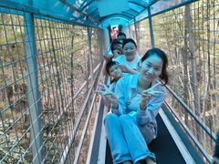 -石燕湖生态旅游景区