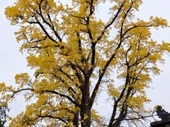 -金堂县云顶石城风景区