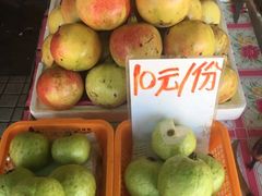 -大湾区中央湿地公园-十九涌