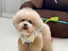 -爱侣宠医·鹦鹉专科·小型哺乳类·异宠专科(灵石路店)