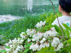 -东坝千亩湖公园