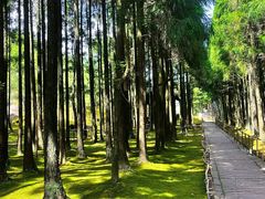 -玉苍山国家森林公园