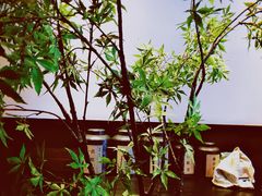 -阿嬷手作(南宁百盛印象城店)