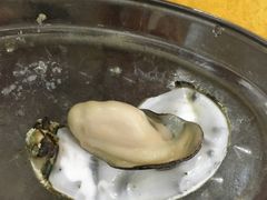 -蚝专家(北滘店)