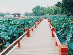 -南通濠河风景名胜区