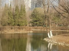 -长白岛森林公园