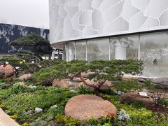 -罗红摄影艺术馆