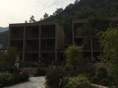 -看见远方·莫干遥远的山民宿