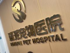 -瑞派康怡24h宠物医院·犬猫医疗中心·微创绝育(瑞景分院)