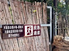 -西双版纳傣族园