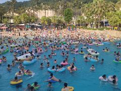 -重庆海昌加勒比海水世界