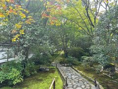 -西芳寺(苔寺)