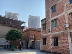 -上南瓦煲鸡·清远鸡·老字号(总店)