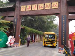 -北海金海湾红树林生态旅游区