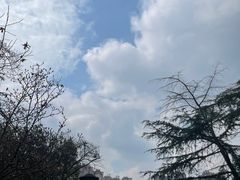 -塔子山公园