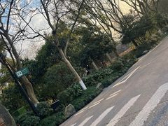 -八卦田遗址公园