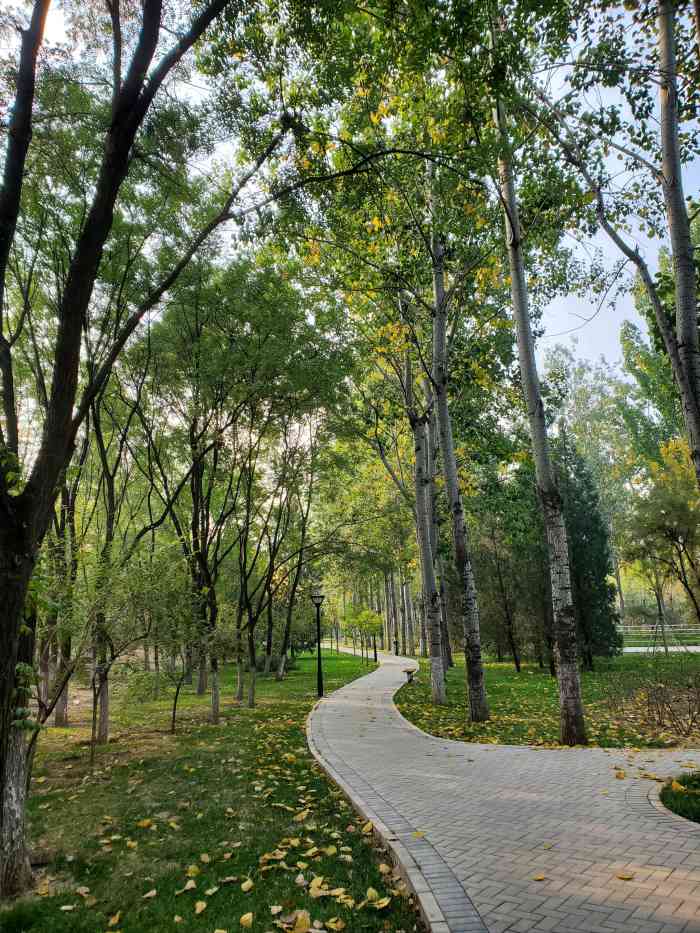 小屯公园-"交通:解决附近居民遛弯玩耍锻炼身体的需."-大众点评移动版