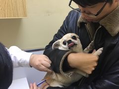 -惠康宠物医院(华能路店)