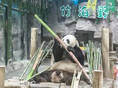 -栾川竹海野生动物园