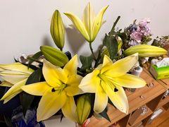 -沪小胖·小龙虾·蓝龙王(八佰伴店)