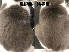 -comecome来吧宠物(奥克斯中心店)