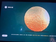 -四川大学博物馆