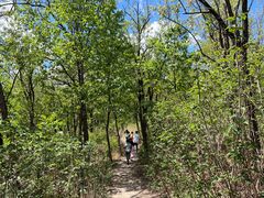 -北京鹫峰国家森林公园