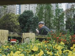 -成都市活水公园
