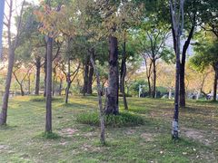 -松坪山公园