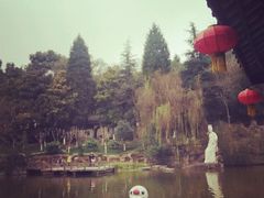 android_upload_pic-富乐山