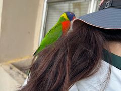 -吉隆坡雀鸟公园