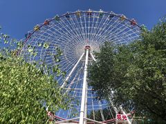 -青城公园