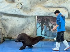 -泉州海丝野生动物世界