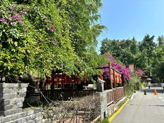 -土灶人家柴火鸡(都江堰店)