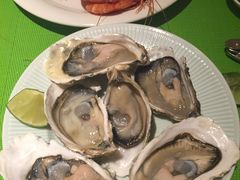 -芽庄喜来登水疗酒店
