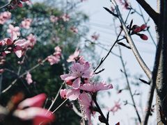 -昭山风景名胜区