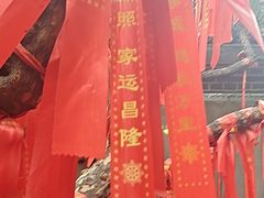 -董立兵烤鸭店(明湖店)