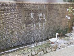 -水乡人家私房菜(逢简店)