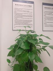 -AiCure 埃可儿·韩国医学皮肤管理