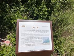 -白草畔自然风景区