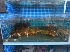 -老郑海鲜楼(天桥店)