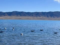 -青海湖国家重点风景名胜区