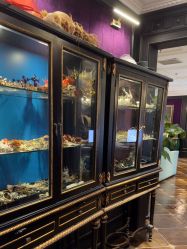 点击看大图 -鼎极摄影(蓝色港湾店)