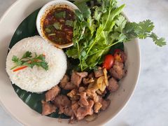 -Fern Forest Cafe