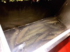 -黑鱼郭我家酸菜鱼(摩尔广场店)