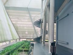 -中国宣纸文化园