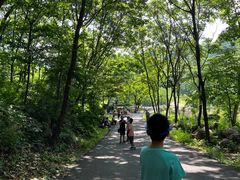 -大连天门山国家森林公园