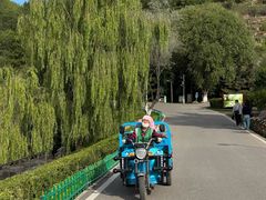 -青藏高原野生动物园
