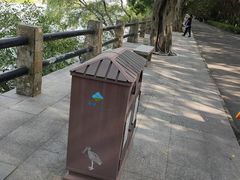 -大湾区中央湿地公园