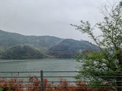 -花岙岛